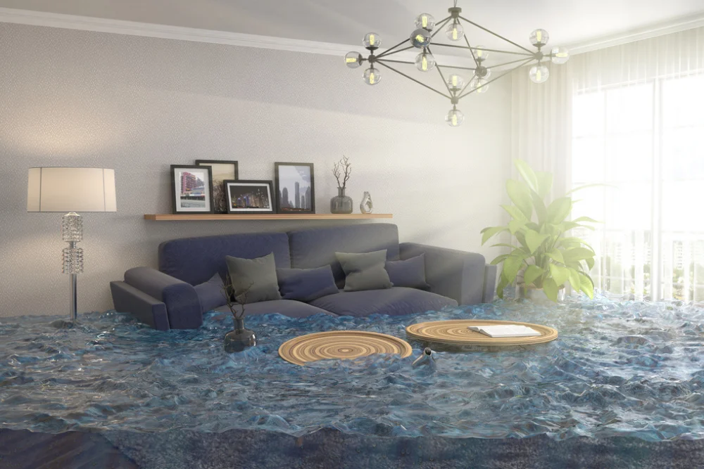 Grey sofa living room